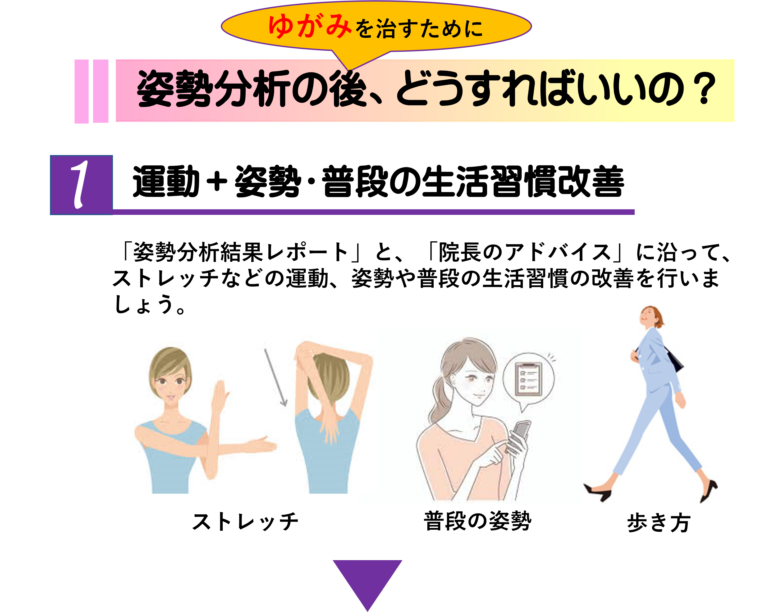 姿勢分析 ゆがみーる LITE インボイス対応 FLEX Measure/姿勢評価 【ゆがみーる